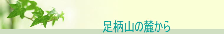 ヘッダーイメージ